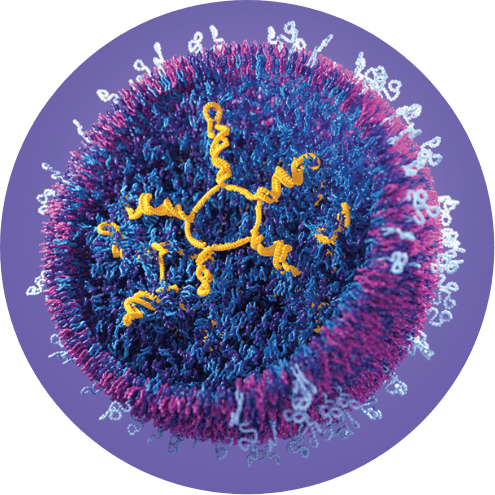 Circular photo of a detailed scientific cell, encircled by a purple paint stroke